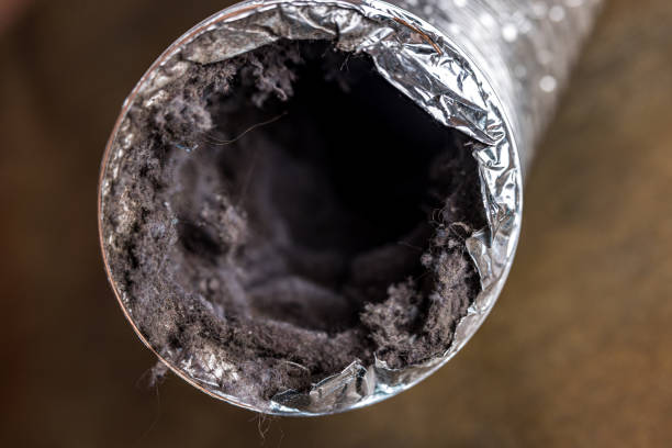 Air Duct Mold Removal in Manchester, PA